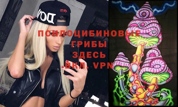 мдпв Сосновка