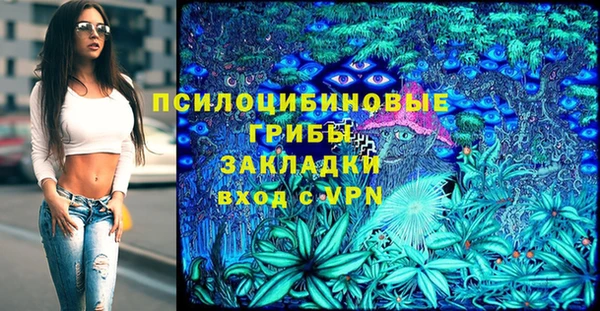 мдпв Сосновка